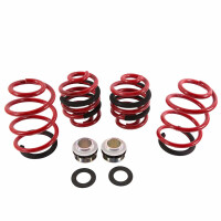 T6.1  Eibach Sport Komfort Extra Gewindefedern Verglnr. E21-