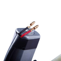 T3 electrisch raammechanisme links 251837461 5