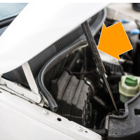 T5 T6 Gasdruckfeder Motorhaube, JP, 04.03 -, Verglnr. 7E0823