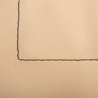 T5 T6 BUS-ok Panorama-Canvas in Beige Top-Quality 3
