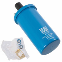 T1 T2 T3 bobine BERU blauw highperformance 043905115 2