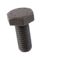 T25 screw for brake carrier plate anchor plate M10x22 Genuin