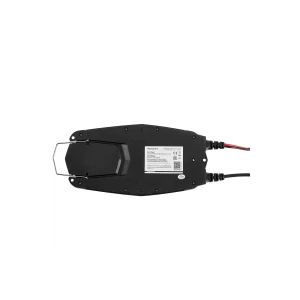 ECTIVE Multiload 16s 16A 12/24V 9-traps acculader met...