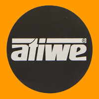 T3 sticker voor ATIWE velgdop gallery