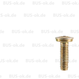 Type2 bay screw for Crank Handle Sunroof T2 NOS OEM...