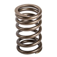 Type2 split bay Valve Spring all 1300 to 1600cc Aircooled 19
