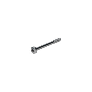 Type2 Bay Screw for turn signal to body early bay window...