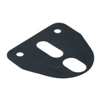T25  Electric Door Mirror Base Gaskets g gallery