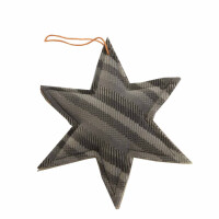 X-Mas Star Multivan-Style grey Type25 T3 gallery