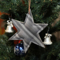 T3 Weihnachtsstern Multivan-Style grau Stern 2