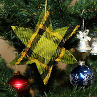 Weihnachtsstern Westfalia-Style grün Stern 2