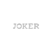 Folienschriftzug JOKER, silber, neue Version