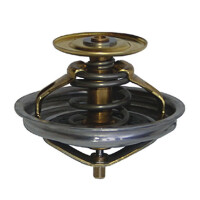 Thermostat 87 C Alle T4 gallery