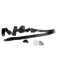 T25 Seat belt rear right, long, OEM partnr. 253857816 F 1