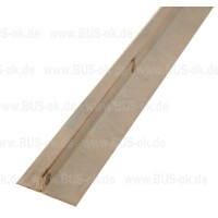 T2 Reparaturblech Seitenfensterausschnitt 2